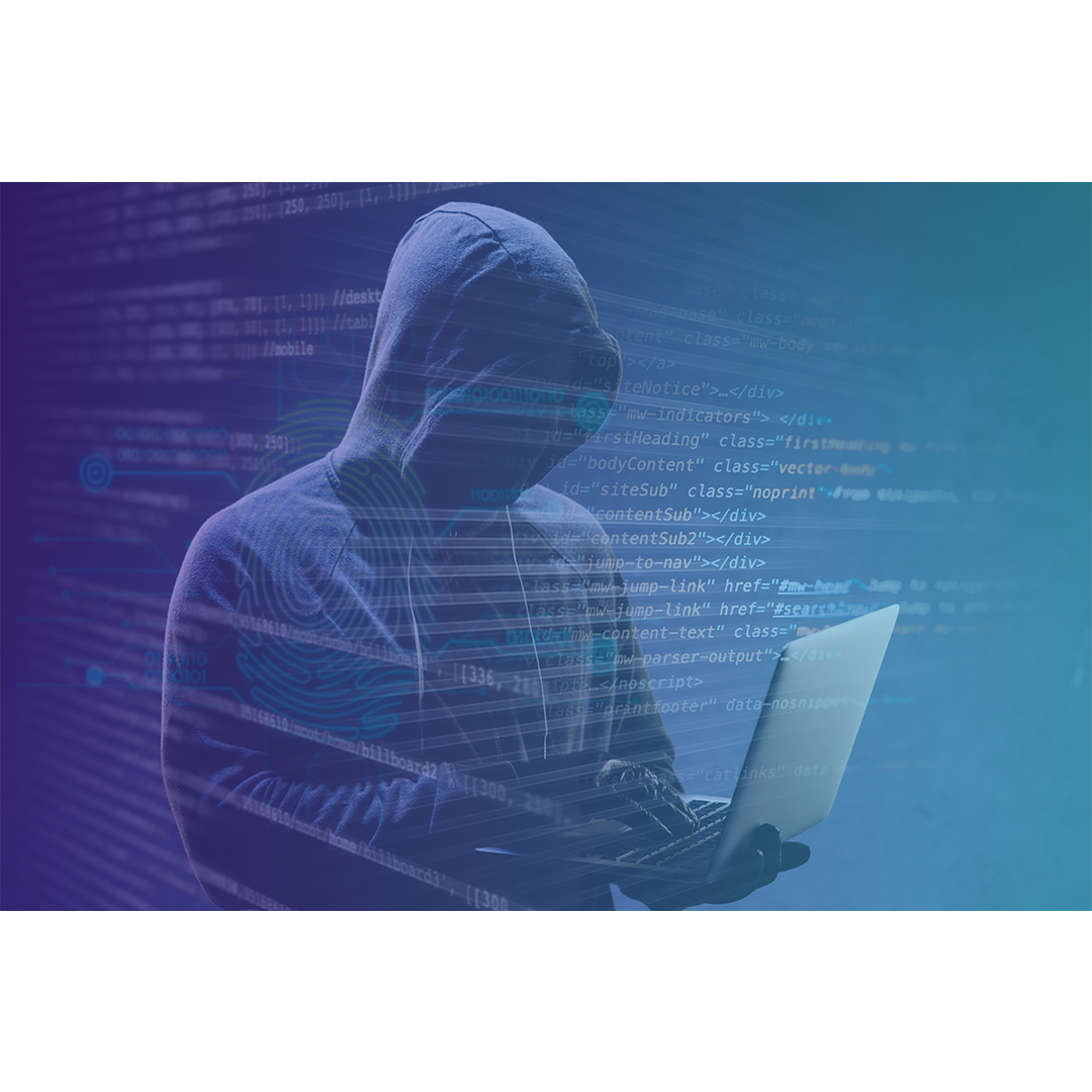 Hacker Rangers: Conscientização e Treinamento em LGPD